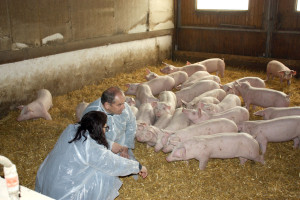 Zu Besuch bei Landwirt Walter Ritter